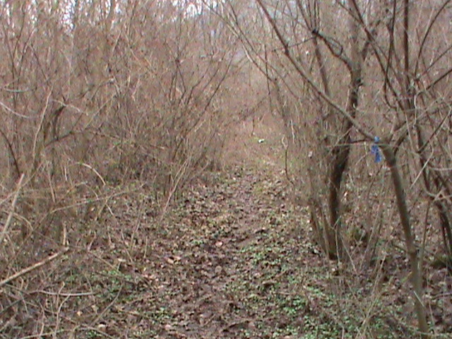 14 Pôvodný stav NOZ.JPG