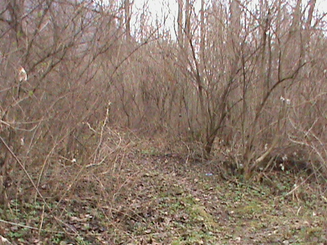 16 Pôvodný stav NOZ.JPG