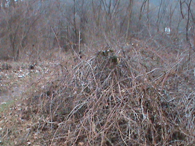 21 Pôvodný stav NOZ.JPG