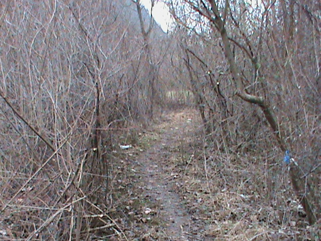 26 Pôvodný stav NOZ.JPG