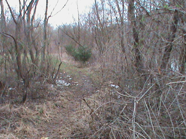 27 Pôvodný stav NOZ.JPG