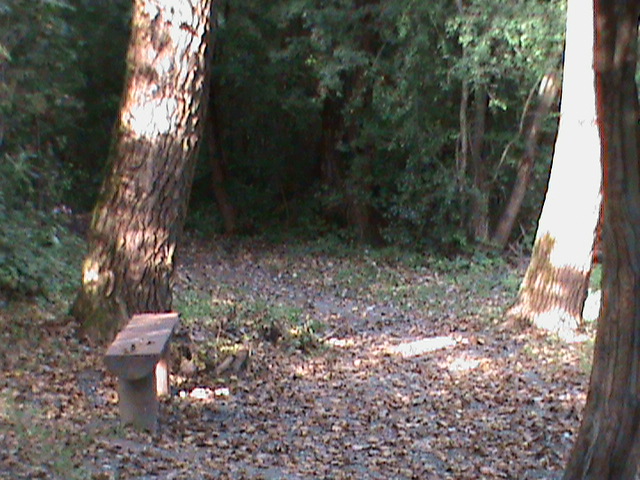 82 Šiesta lavička.JPG